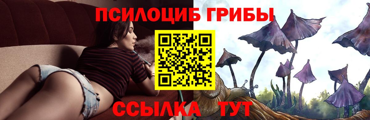 купить   Вход с VPN  Гурьевск  Галлюциногенные грибы Magic Shrooms 